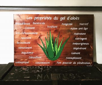 Enseigne bois Aloe Vera